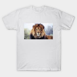 African Lion T-Shirt